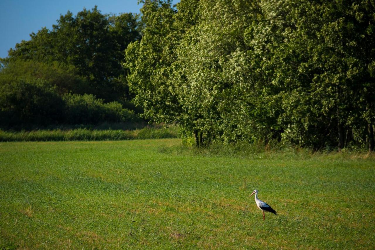 Domek Goscinny Darłowo Exterior foto